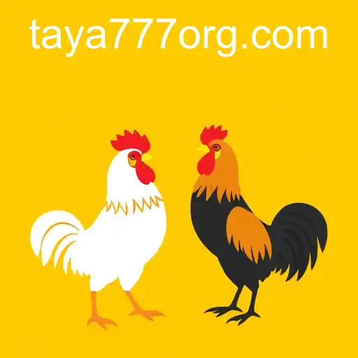 Understanding Online Sabong: The Rise of TAYA777